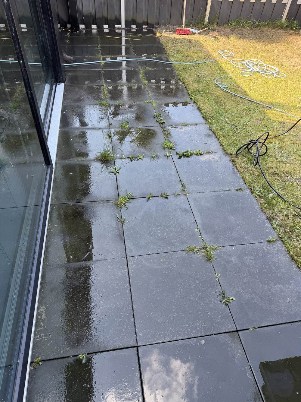 Terras vóór hogedrukreiniging — onkruid tussen de voegen