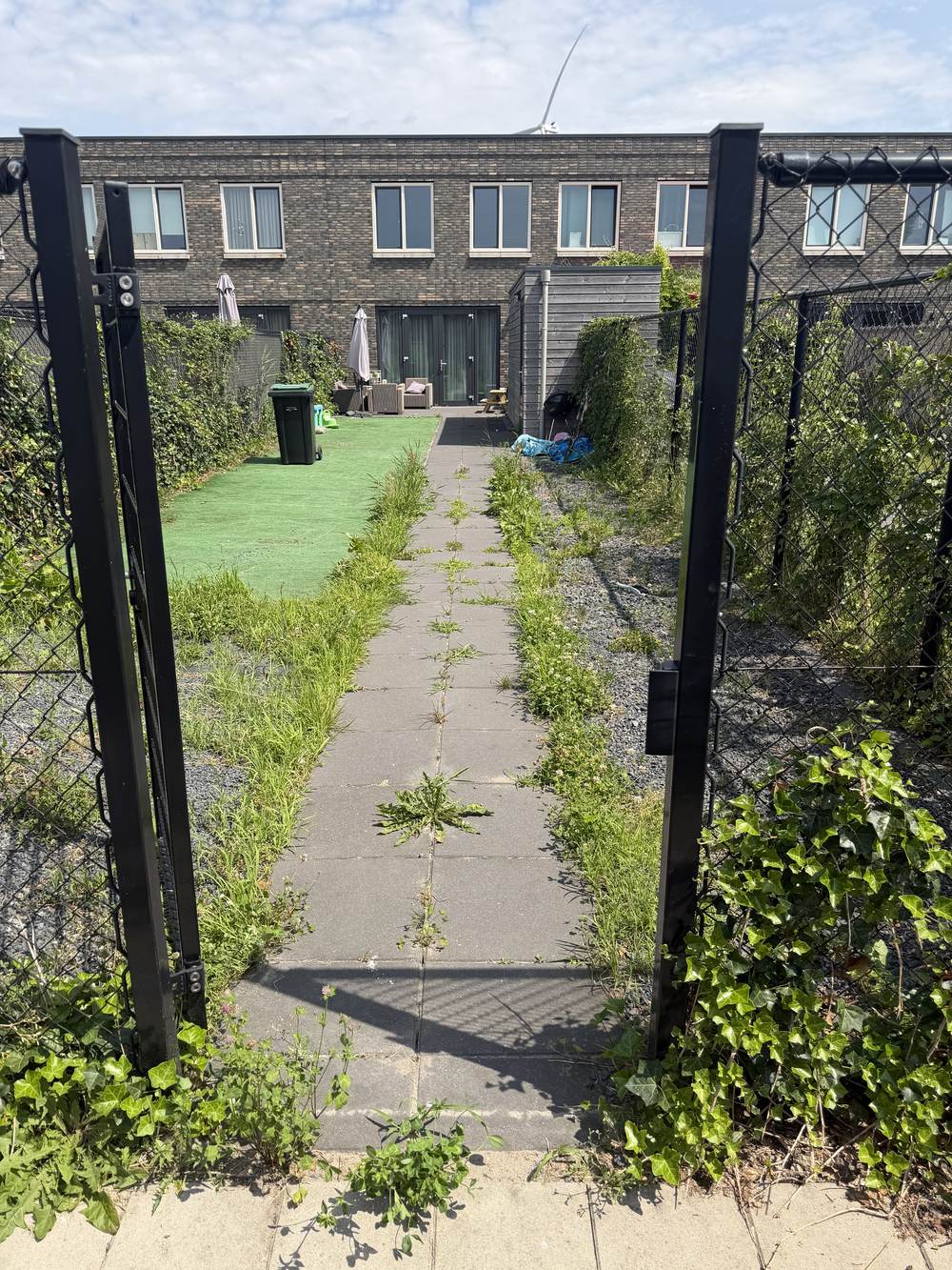 Tuinpad vóór behandeling — overwoekerd met onkruid