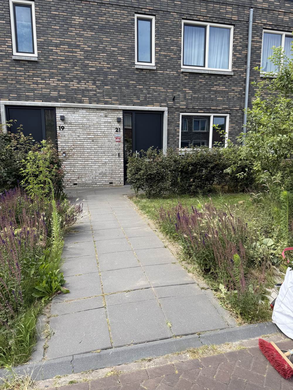Voortuinpad ná behandeling — onkruidvrij, beplanting intact